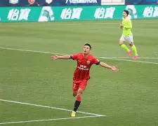 霍芬海姆vs门兴格拉德巴赫